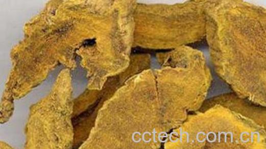 片姜黄的功效与作用-0