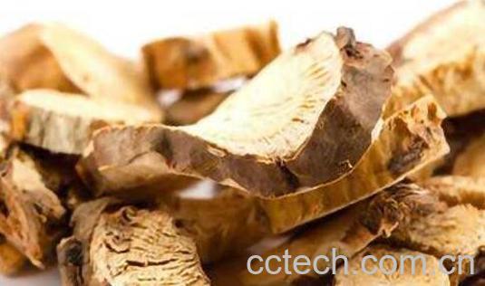 苦参泡酒的功效和作用-0