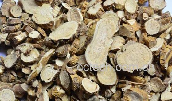 苦参泡酒的功效和作用-1