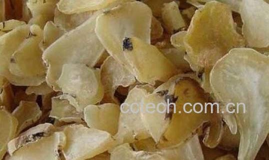 白附子和附子的区别-1