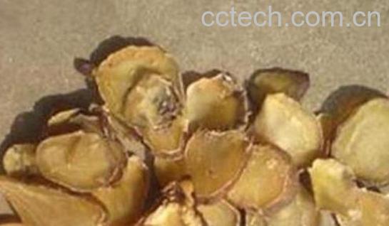 禹白附和白附子的区别 禹白附的功效-1