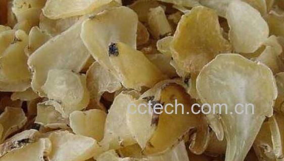 白附子的功效与作用 白附子的禁忌-0