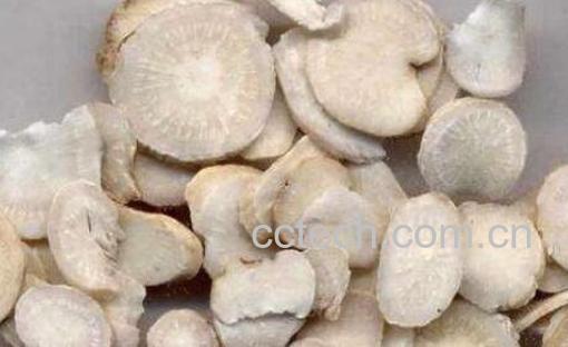 白附子的功效与作用 白附子的禁忌-1