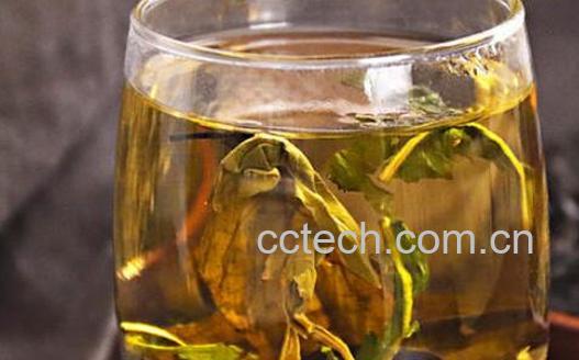 怎样喝银杏叶水才正确-0