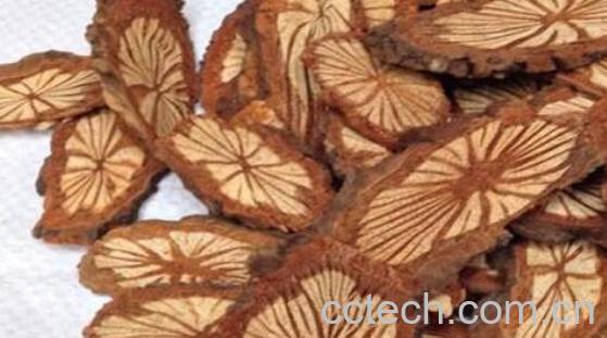 黑血藤和鸡血藤的区别-1