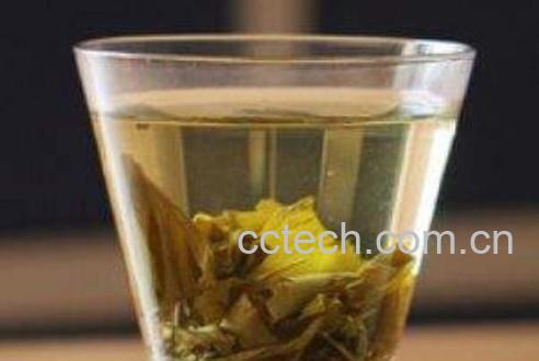 怎样喝银杏叶水才正确-1