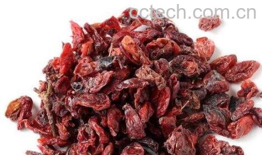 中药枣皮的功效与作用及禁忌-1