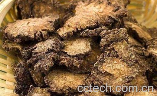 川芎的功效与作用 川芎对女性有哪些好处-0