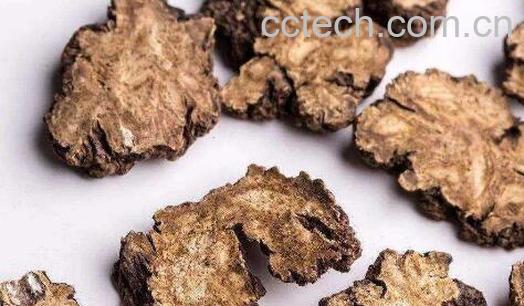 川芎的功效与作用 川芎对女性有哪些好处-1