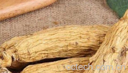 东洋参哪些人不能喝 东洋参怎么吃-0