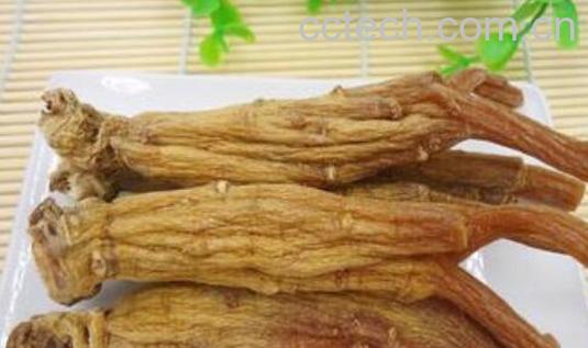 东洋参哪些人不能喝 东洋参怎么吃-1