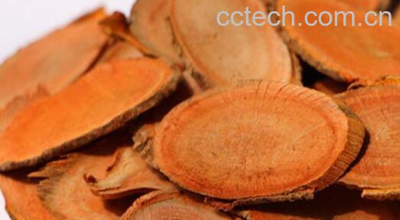 东革阿里的功效与作用 东革阿里的服用方法-1