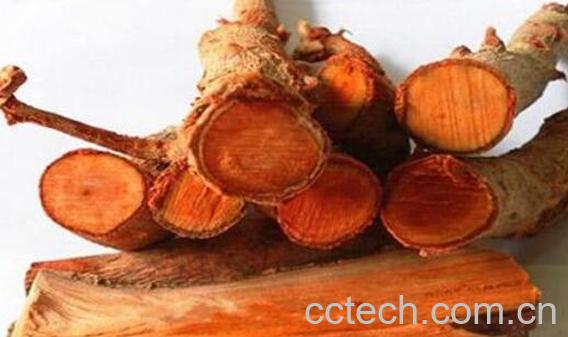 东革阿里的功效与作用 东革阿里的服用方法-0