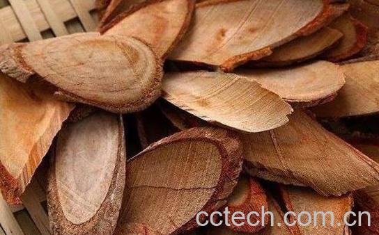 东革阿里对女性功效与作用-0