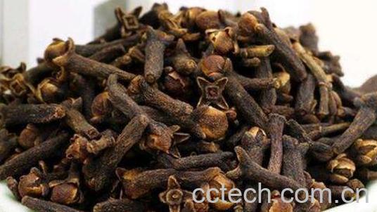 公丁香的功效与作用及食用方法-0