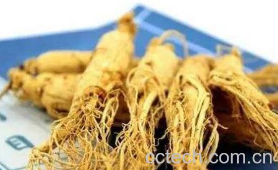 吃人参的八大禁忌-1