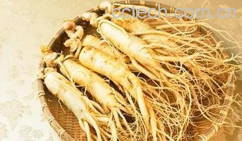 吃人参的八大禁忌-0