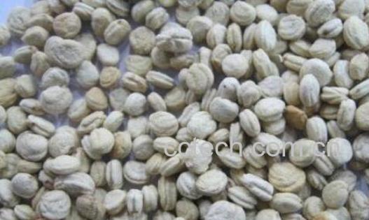 人参籽泡水喝的功效-0