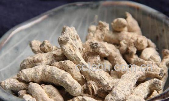 炙僵蚕与僵蚕的区别 炙僵蚕的用法-0