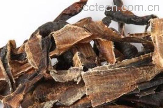 地龙药有什么功效与作用-0