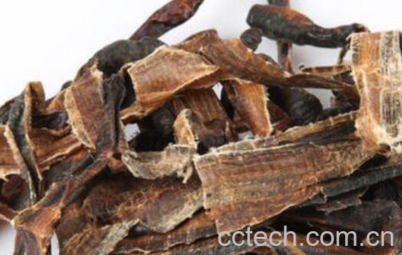 蚯蚓酒的作用与功效-1