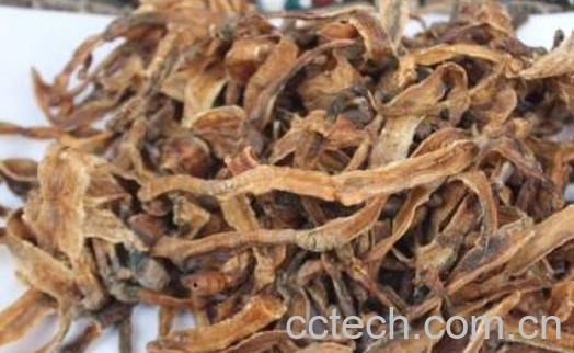 炒地龙与生地龙的区别 地龙的功效与作用-1