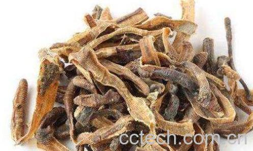 炒地龙与生地龙的区别 地龙的功效与作用-0