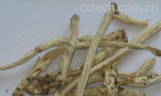 甜桔梗和苦桔梗的功效-0