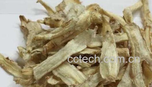 苦桔梗的功效与作用 苦桔梗的食用方法-0