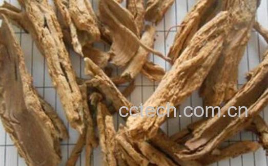 地骨皮泡水喝的功效-0