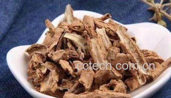 地骨皮泡水喝的功效-1