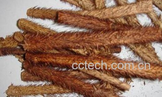 红毛五加皮的功效与作用-0