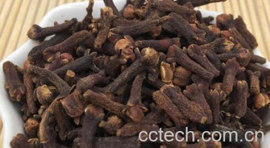 丁香的副作用和禁忌-0