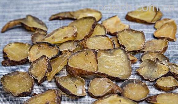 炮附子的功效与作用禁忌-1