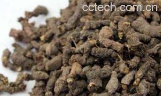 天葵草和天葵子的区别 天葵草的功效-1