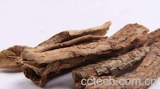 香加皮和五加皮的区别 香加皮的功效与作用-0