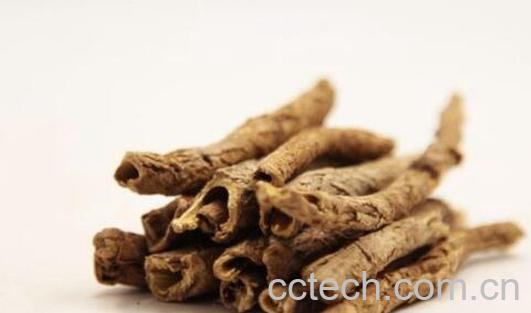 香加皮和五加皮的区别 香加皮的功效与作用-1