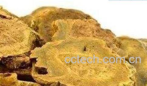 大黄和土大黄的鉴别方法-0