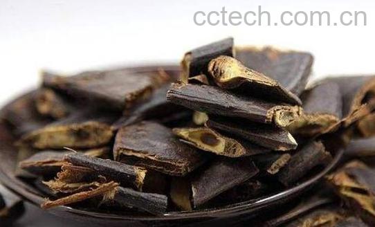 大皂角外用的功效与作用-0