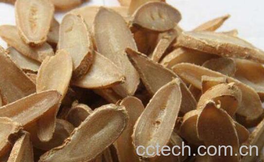 柴胡郁金的功效与作用-1