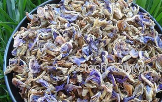 葛花泡水的功效与作用-1