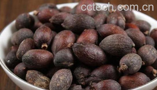 葵树子的功效与作用 葵树子的副作用-1