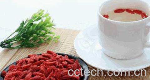 蒲公英枸杞茶-1