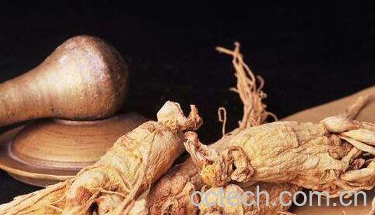 吃了人参不能吃哪些菜-1