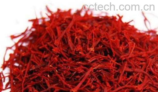 藏红花的正确喝法和时间-1