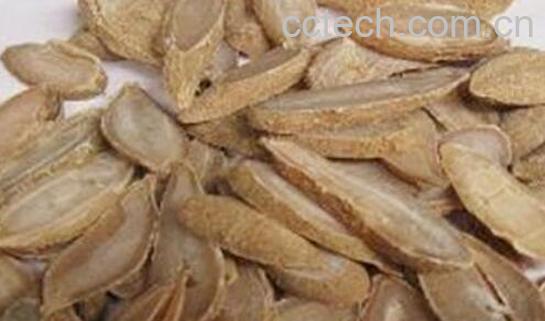 广郁金与郁金的区别 郁金的功效-0