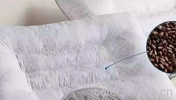 决明子枕头不适宜人群 决明子枕头对女性的危害-1