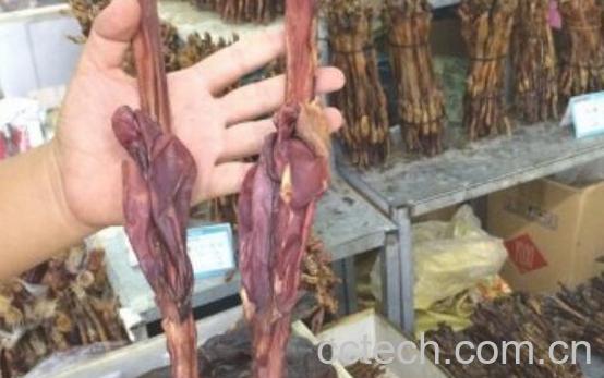 干牛鞭怎么使用 晒干的牛鞭怎么弄成粉末-0