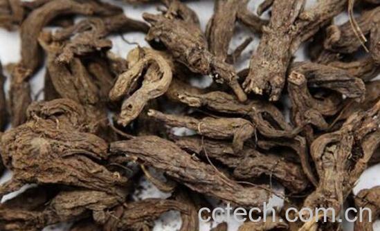 大戟的功效与作用及食用方法-1