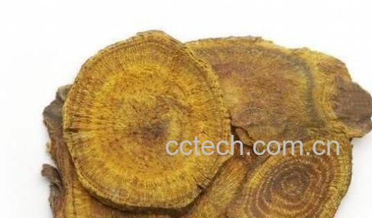 大黄的药用功效和作用-1